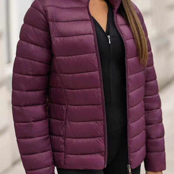 μπουφάν INOLMEA BORDO - 1