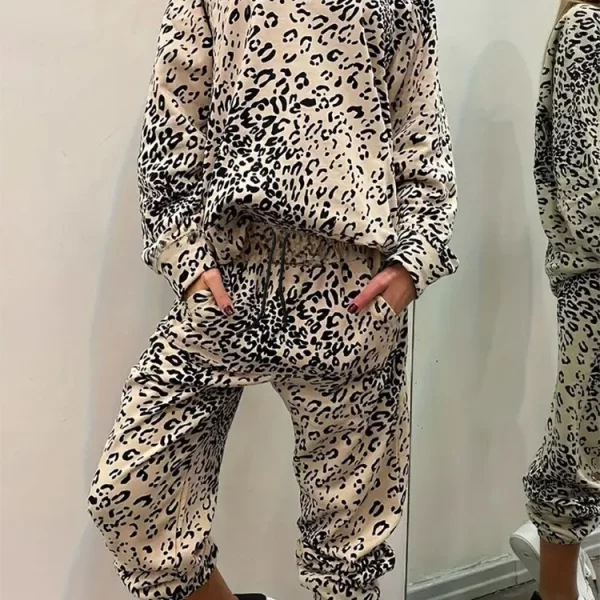 σύνολο CODIELFA - 1