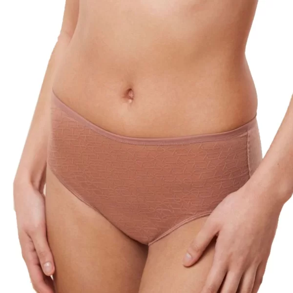 Γυναικείο Σλιπ Triumph Signature Sheer Maxi EX Καφέ-Ροζ