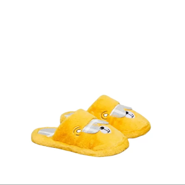 Γυναικείες Παντόφλες Noidinotte 