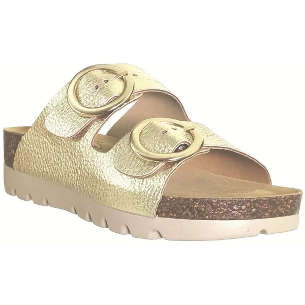 Mules Plakton Memory