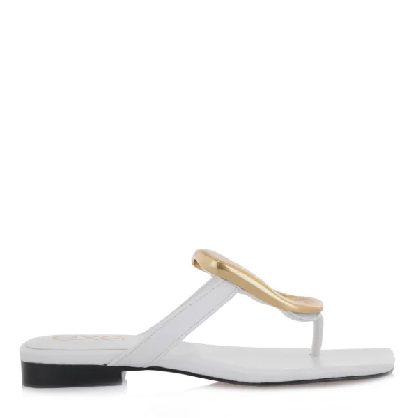 FLATS σχέδιο: S47000681