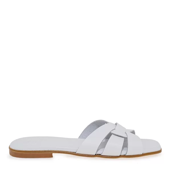 FLATS σχέδιο: U40968881