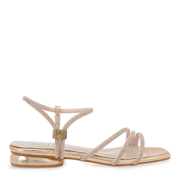 ΠΕΔΙΛΑ σχέδιο: W420S0571