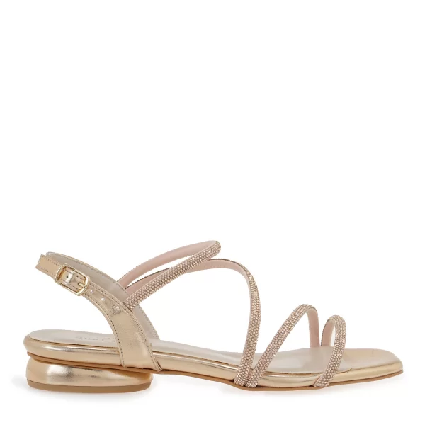 ΠΕΔΙΛΑ σχέδιο: W420S4071