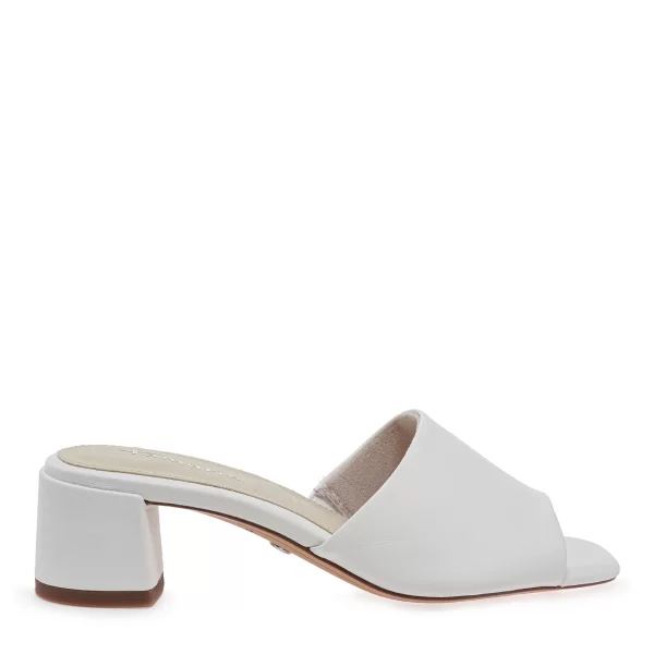 MULES σχέδιο: W45370423