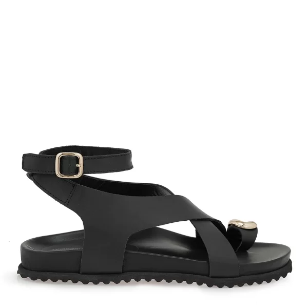 ΠΕΔΙΛΑ σχέδιο: W455A1491