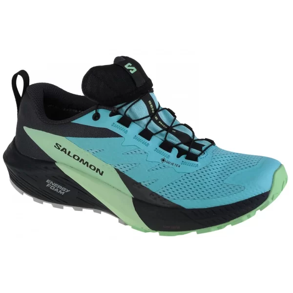 Salomon Sense Ride 5 GTX L47216000 Γυναικεία Αθλητικά Παπούτσια Trail Running Μπλε Αδιάβροχα με Μεμβράνη Gore-Tex