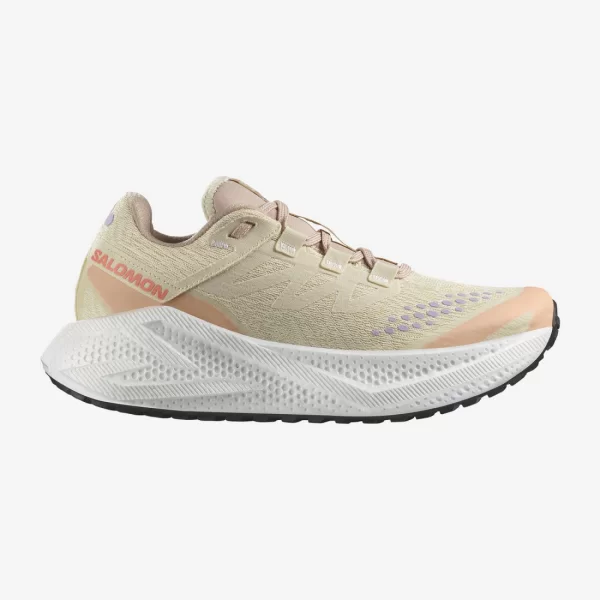 Salomon Aero Glide 3 GRVL W L47812500