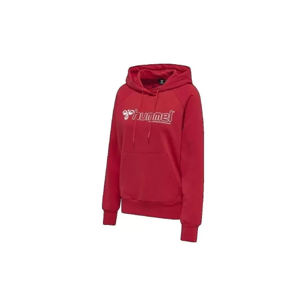 Φούτερ hummel Sweat à capuche Noni 2.0 rouge