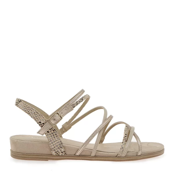 FLATS σχέδιο: W45371031