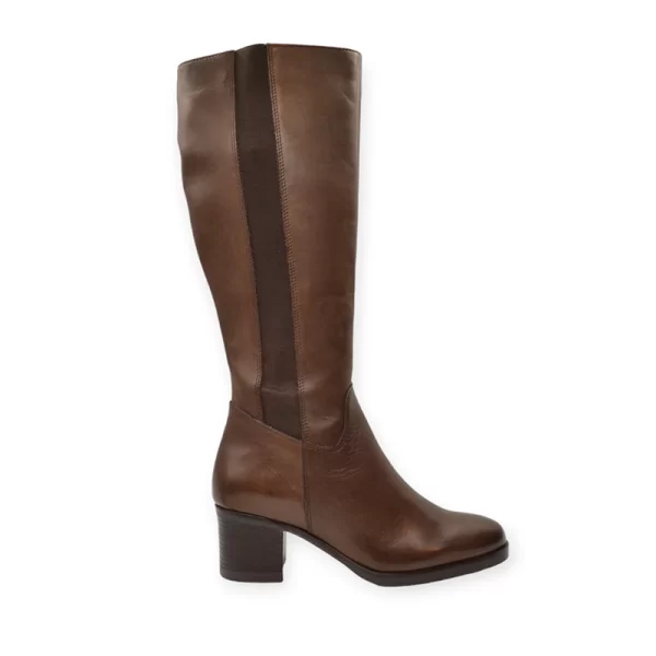 PARROTTO ΜΠΟΤΑ WB70H07 D137