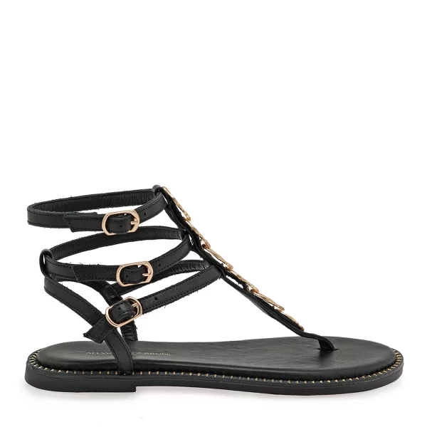 ΠΕΔΙΛΑ σχέδιο: W478W9431